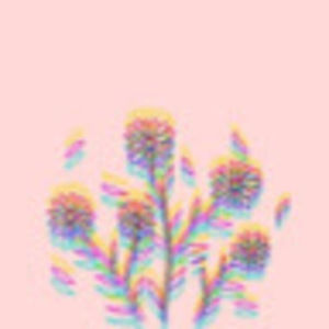 Meet your Posher, Brooklynn